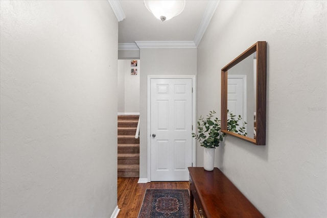 2184 NW 144th St, Newberry, FL 32669 - doorway to outside with stairs, ornamental molding, and wood finished floors