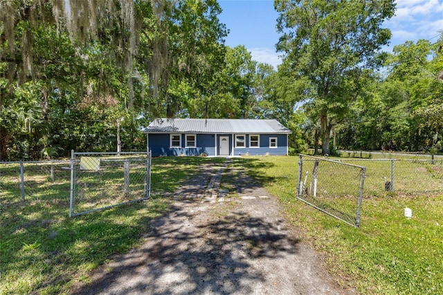view of front of property featuring a front lawn, a gate, driveway, metal roof, and fence