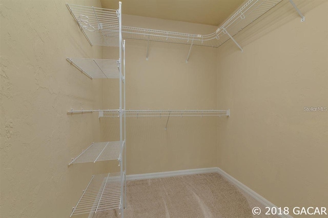 11348 NW 31st Ln, Gainesville, FL 32606 - photo 6