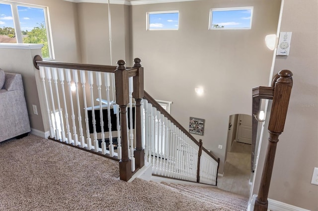 stairs featuring carpet flooring, baseboards, and plenty of natural light