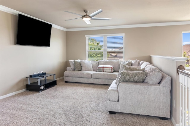 living area featuring crown molding, baseboards, ceiling fan, and carpet