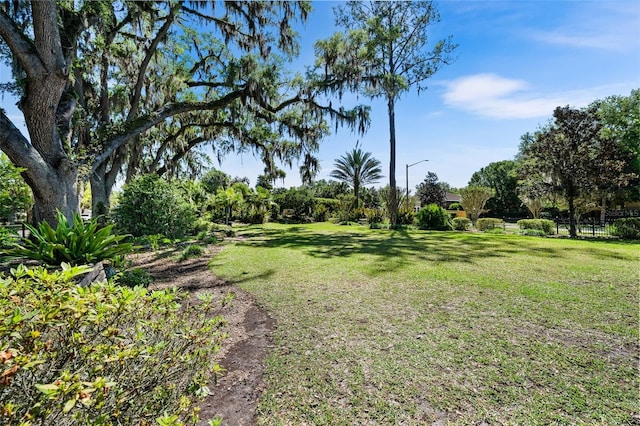 3624 SW 73rd Way, Gainesville, FL 32608 - view of green lawn