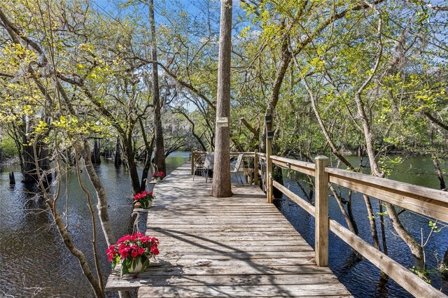 dock area with a water view