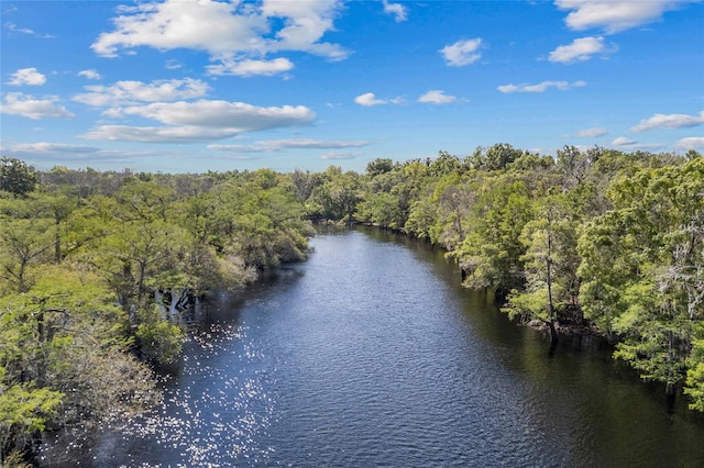 birds eye view of property with a forest view