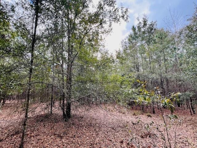 NW 85th St, Bell, FL 32619