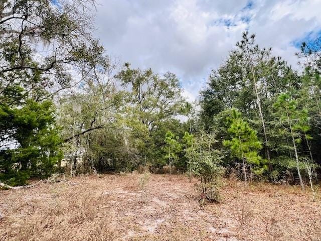 NW 85th St, Bell, FL 32619