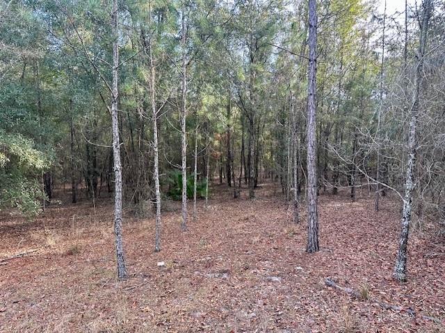 NW 85th St, Bell, FL 32619