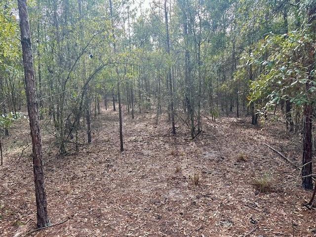 NW 85th St, Bell, FL 32619