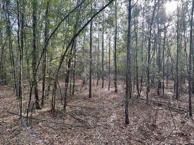 NW 85th St, Bell, FL 32619