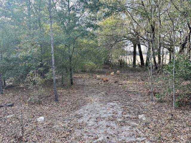 NW 85th St, Bell, FL 32619