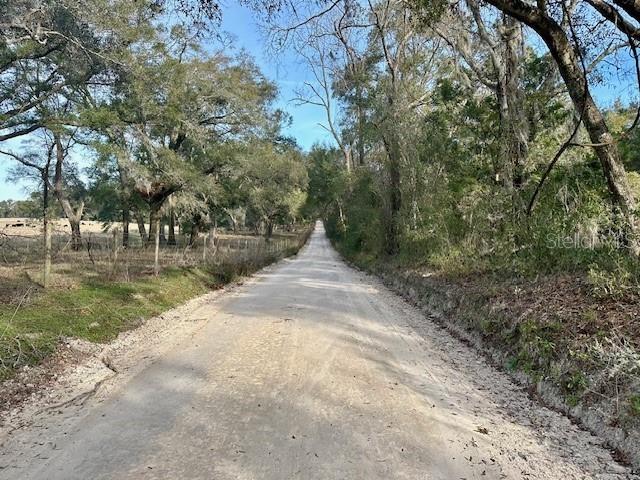 NW 85th St, Bell, FL 32619