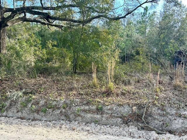 NW 85th St, Bell, FL 32619