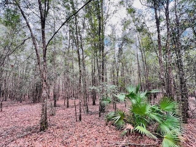 NW 85th St, Bell, FL 32619