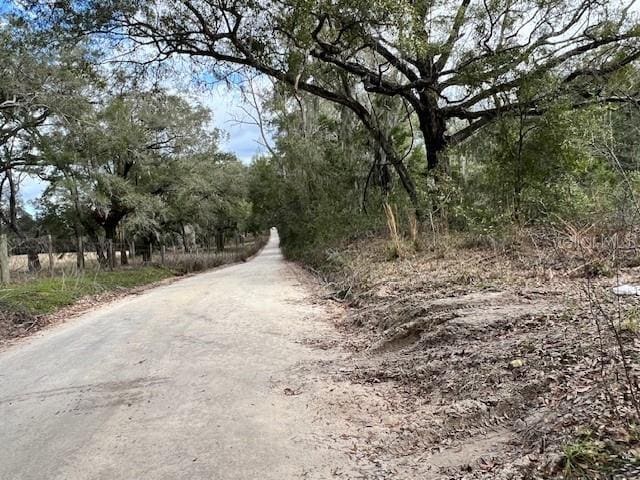 NW 85th St, Bell, FL 32619