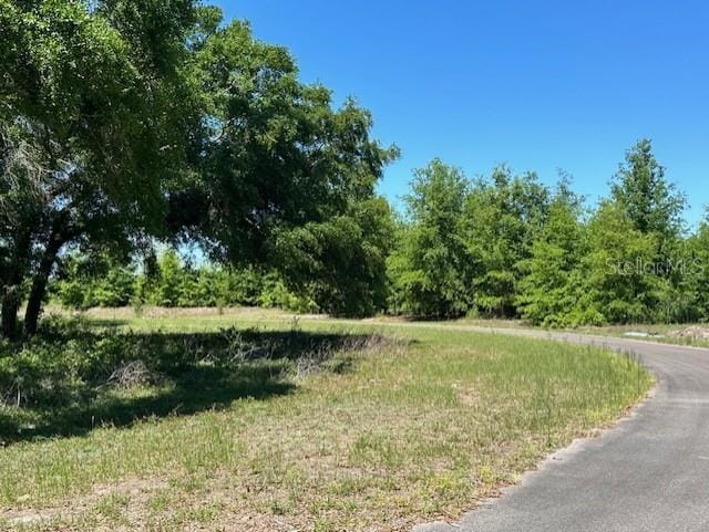 4950 NW 36th St, Bell, FL 32619