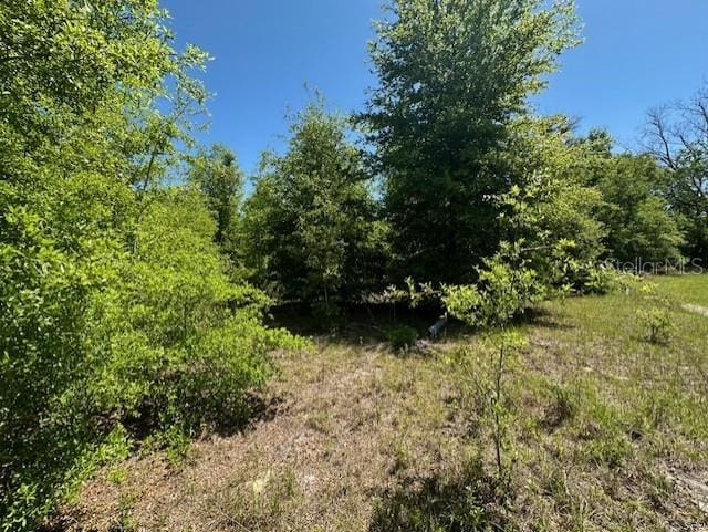 4950 NW 36th St, Bell, FL 32619