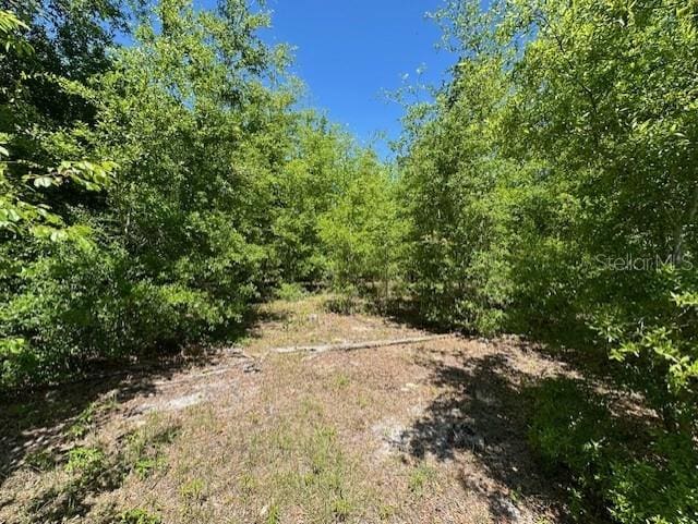 4950 NW 36th St, Bell, FL 32619