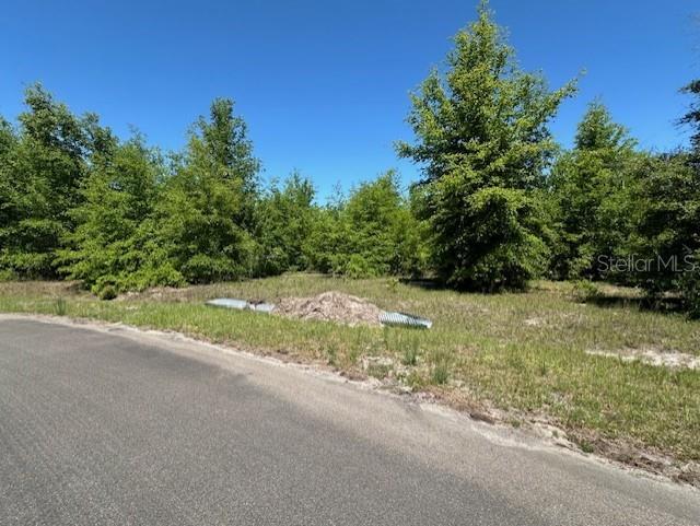 4950 NW 36th St, Bell, FL 32619