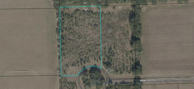 4950 NW 36th St, Bell, FL 32619