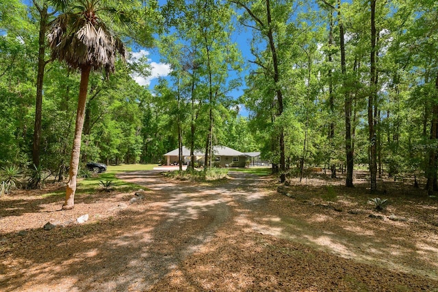 23719 NW 142nd Ave, High Springs, FL 32643 - photo 4
