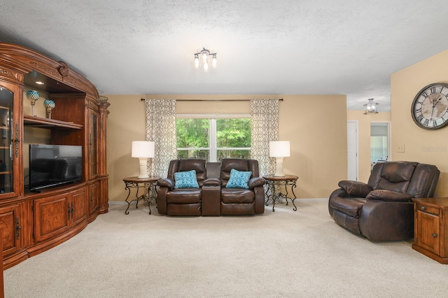 23719 NW 142nd Ave, High Springs, FL 32643 - photo 11