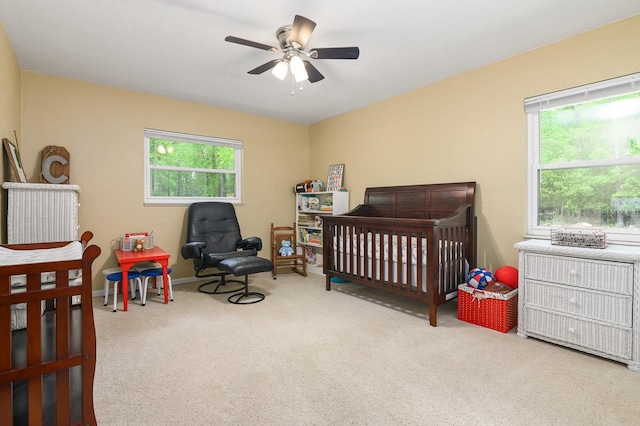 23719 NW 142nd Ave, High Springs, FL 32643 - photo 31