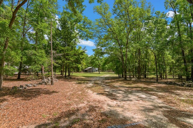 23719 NW 142nd Ave, High Springs, FL 32643 - photo 46