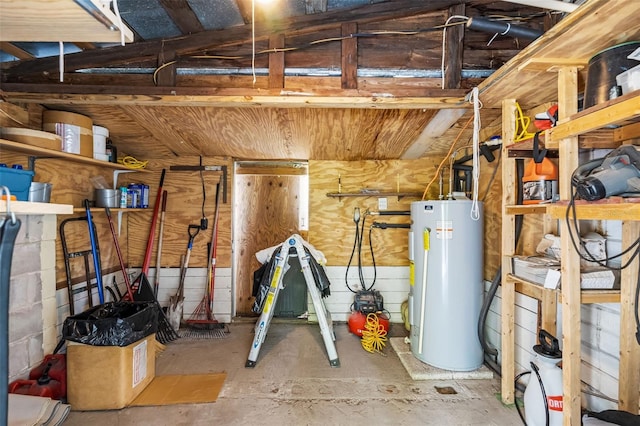 storage featuring gas water heater