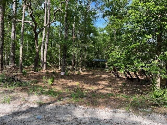 00 SE 929th St, Old Town, FL 32680 - photo 1