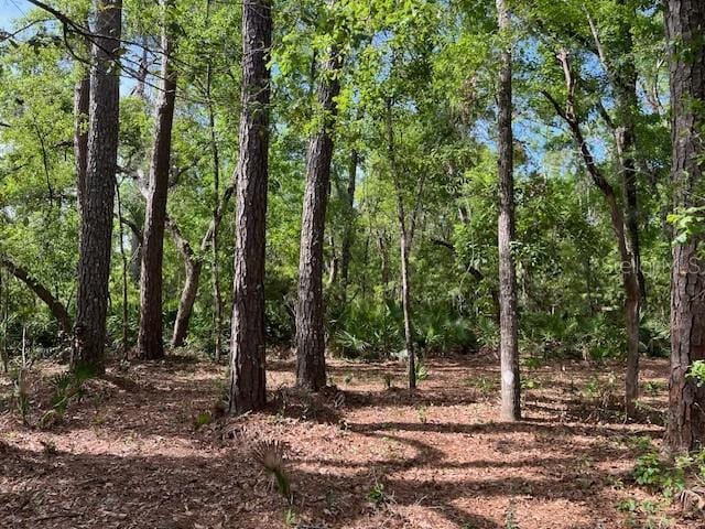 00 SE 929th St, Old Town, FL 32680 - photo 9