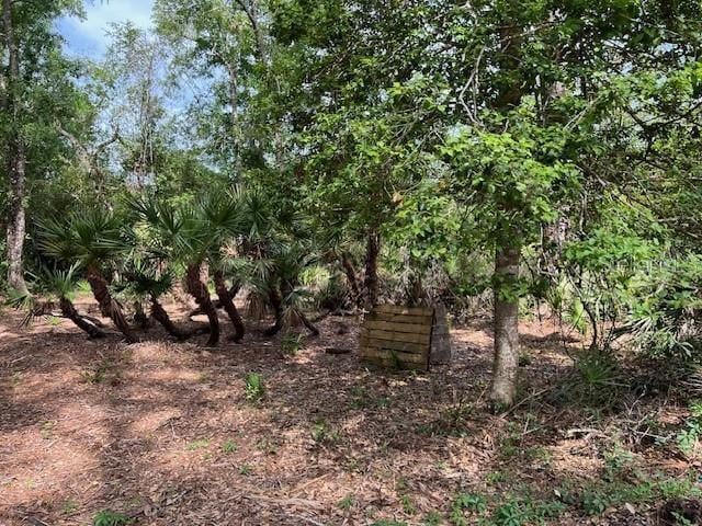 00 SE 929th St, Old Town, FL 32680 - photo 6