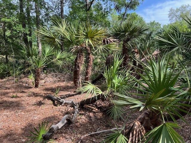 00 SE 929th St, Old Town, FL 32680 - photo 12