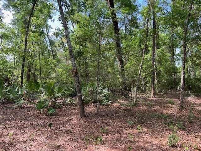 00 SE 929th St, Old Town, FL 32680 - photo 13