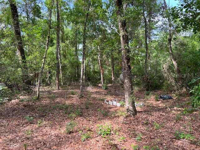00 SE 929th St, Old Town, FL 32680 - photo 14
