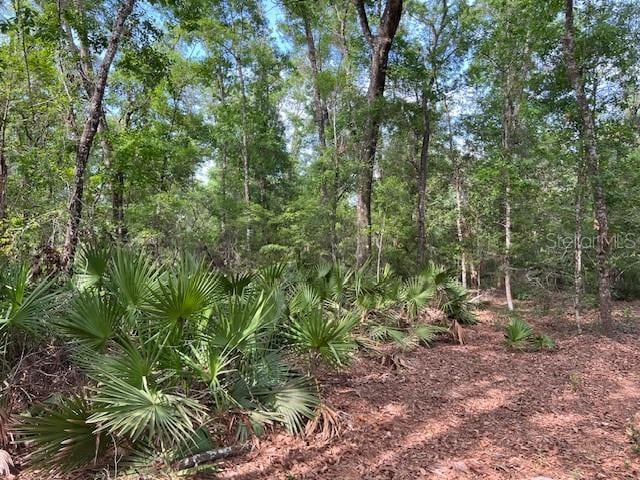 00 SE 929th St, Old Town, FL 32680 - photo 15