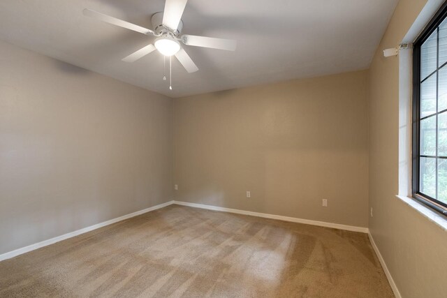 7124 NW 52nd Ter, Gainesville, FL 32653 - photo 13