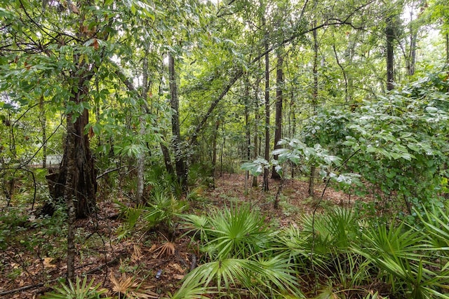 7124 NW 52nd Ter, Gainesville, FL 32653 - photo 25