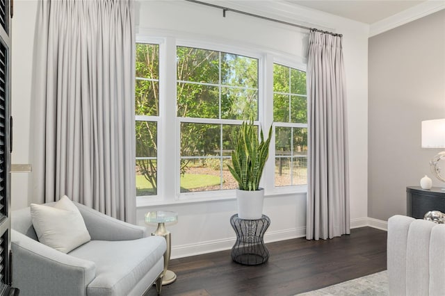 14819 NW 21st Ave, Newberry, FL 32669 - living area with crown molding, baseboards, a wealth of natural light, and dark wood-style flooring