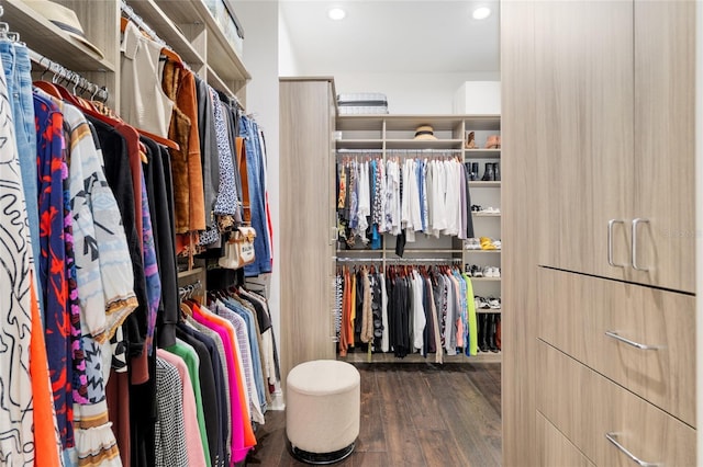 14819 NW 21st Ave, Newberry, FL 32669 - walk in closet featuring wood finished floors