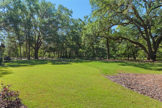 14819 NW 21st Ave, Newberry, FL 32669 - view of yard featuring fence