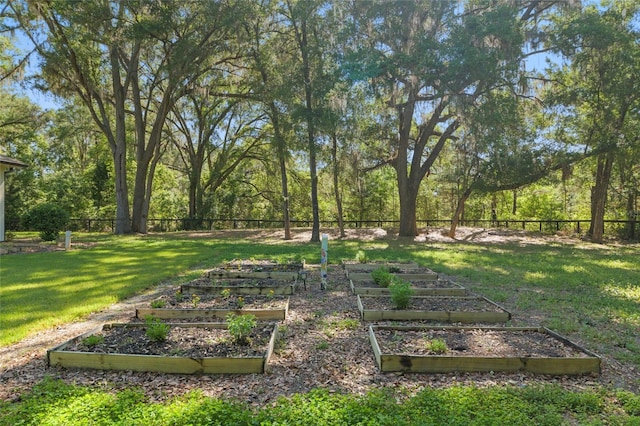 14819 NW 21st Ave, Newberry, FL 32669 - view of yard with a garden and fence