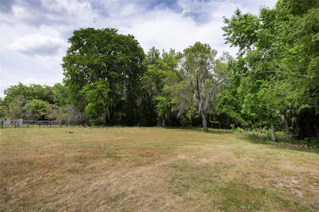 6012 SE Hawthorne Rd, Gainesville, FL 32641 - photo 44