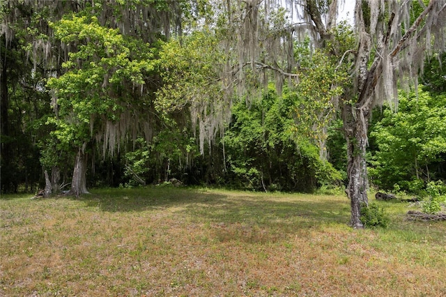 6012 SE Hawthorne Rd, Gainesville, FL 32641 - photo 45