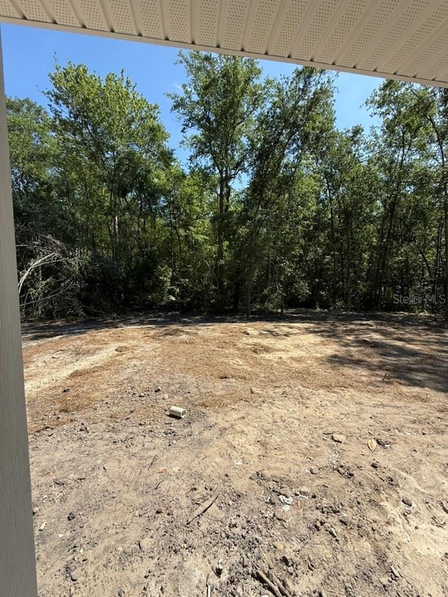 6333 Fox Hollow Ct, Hampton, FL 32044 - view of yard