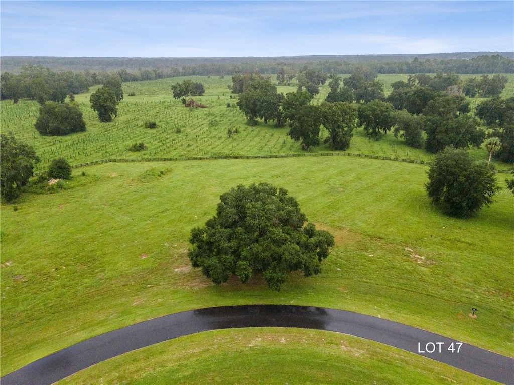 LOT47 SW 125th Cir, Archer, FL 32618 - photo 1