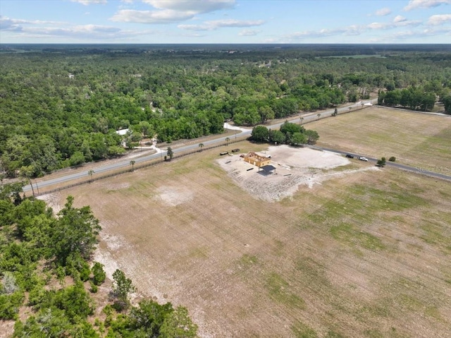 3955 NW 31st Ave, Bell, FL 32619 - bird's eye view of a forest