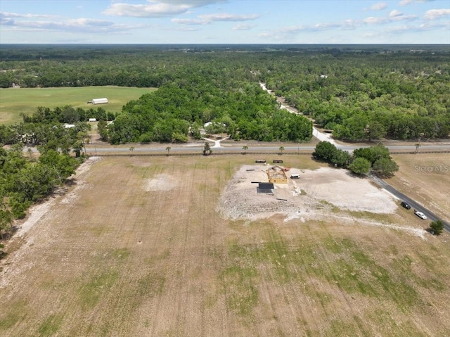3955 NW 31st Ave, Bell, FL 32619 - photo 21