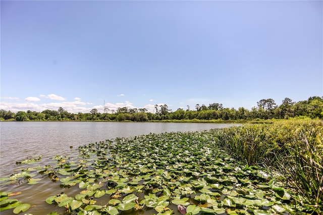 property view of water