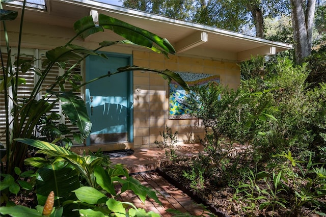 2074 NW 11th Rd, Gainesville, FL 32605 - exterior space