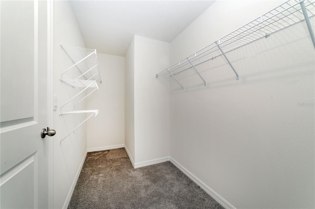 6683 SE 3rd Loop, Ocala, FL 34472 - walk in closet with carpet